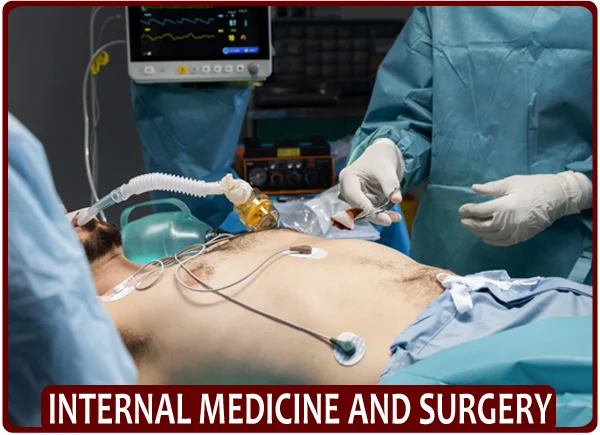 Internal Medicine and Surgery